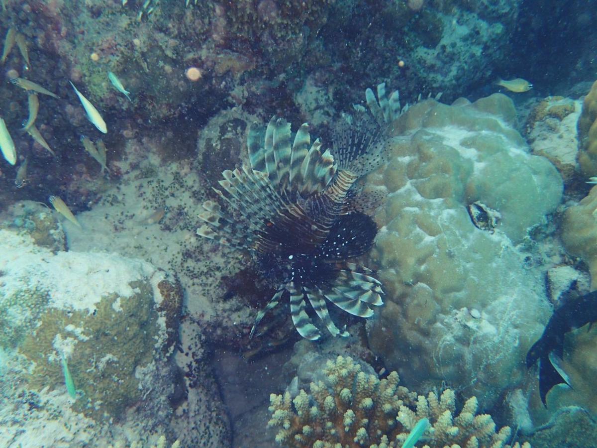 Ras Village Rasdhoo Exteriér fotografie